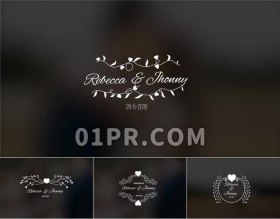 Pr优雅婚礼标题 10组精致时尚繁荣华丽婚庆邀请文字 PR字幕模板
